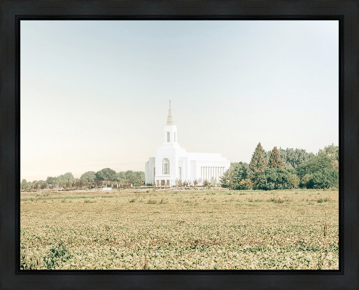 Burley Idaho Immaculate Embrace Blue