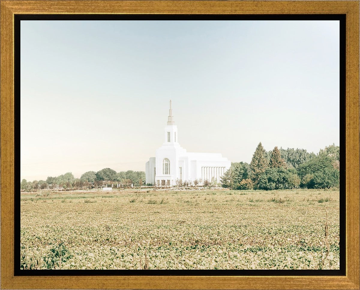 Burley Idaho Immaculate Embrace Blue