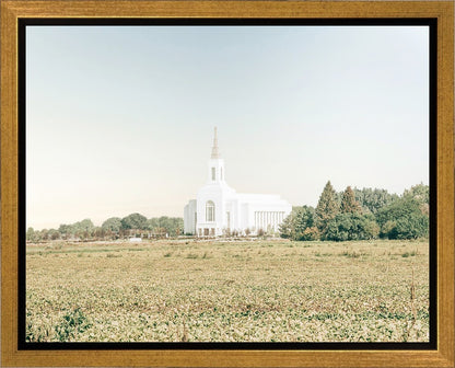 Burley Idaho Immaculate Embrace Blue