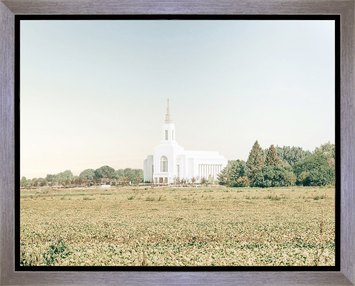 Burley Idaho Immaculate Embrace Blue