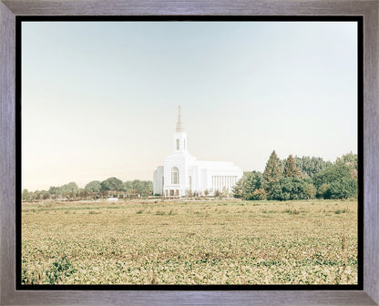 Burley Idaho Immaculate Embrace Blue