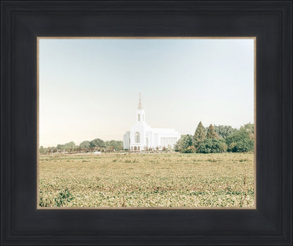 Burley Idaho Immaculate Embrace Blue