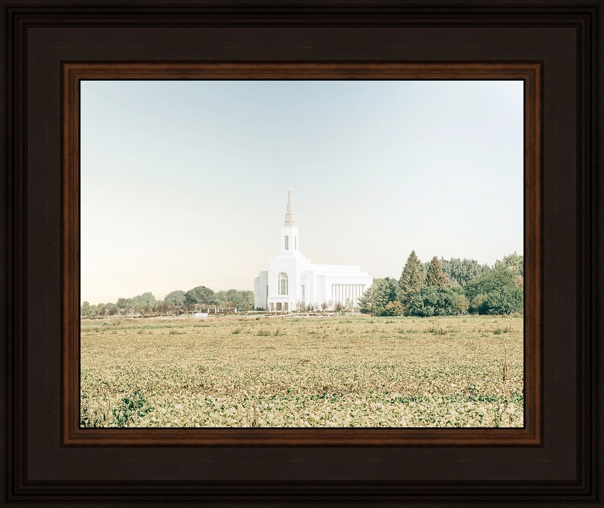 Burley Idaho Immaculate Embrace Blue