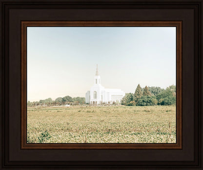 Burley Idaho Immaculate Embrace Blue