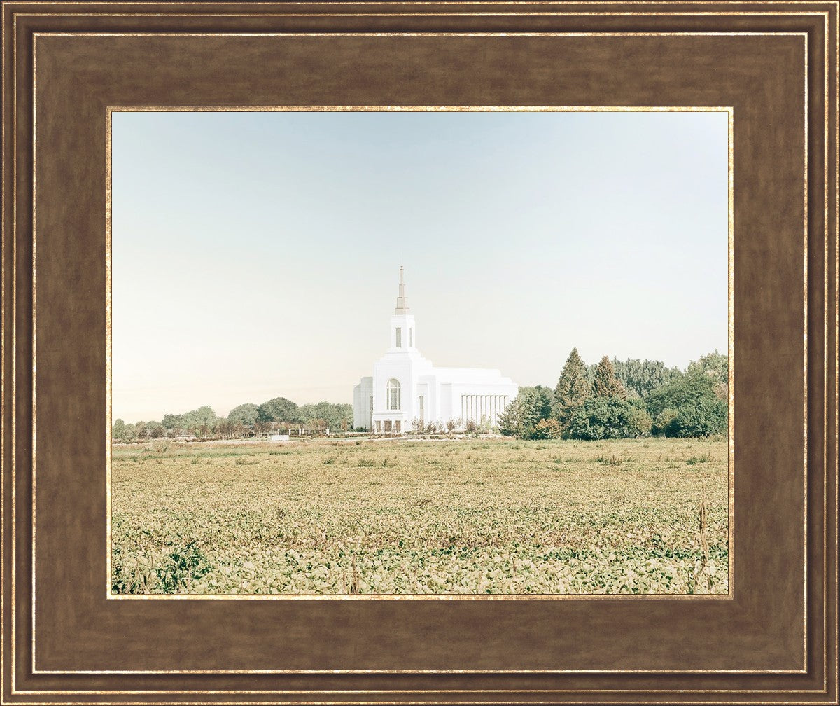 Burley Idaho Immaculate Embrace Blue