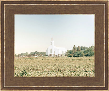 Burley Idaho Immaculate Embrace Blue