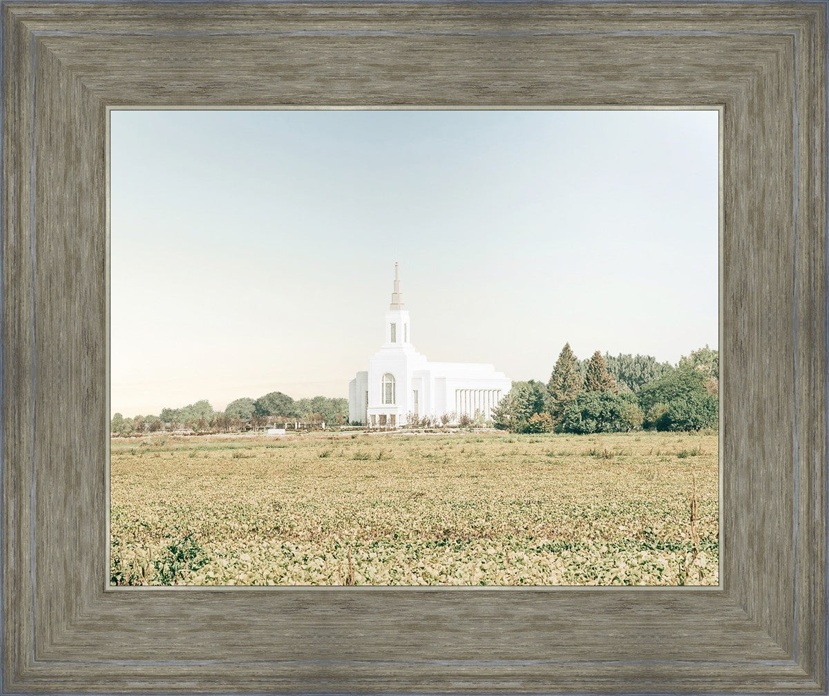 Burley Idaho Immaculate Embrace Blue