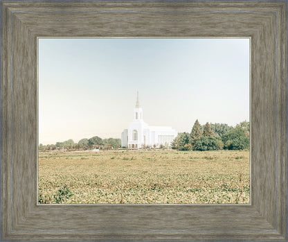 Burley Idaho Immaculate Embrace Blue