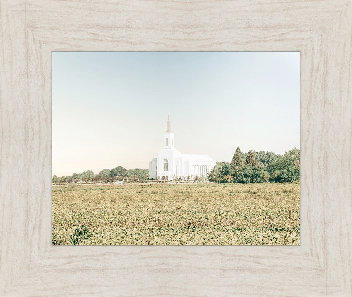 Burley Idaho Immaculate Embrace Blue