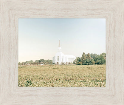 Burley Idaho Immaculate Embrace Blue