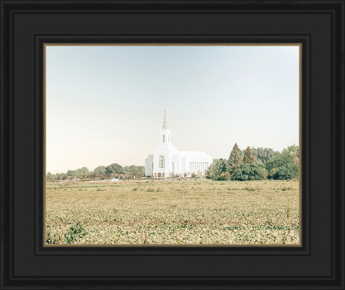 Burley Idaho Immaculate Embrace Blue