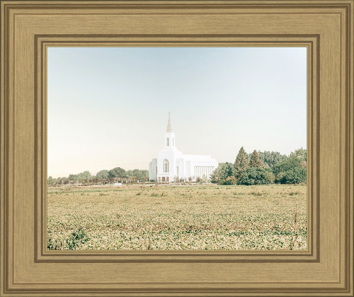 Burley Idaho Immaculate Embrace Blue