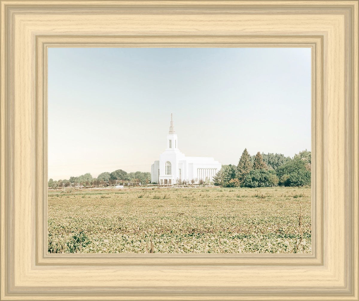 Burley Idaho Immaculate Embrace Blue