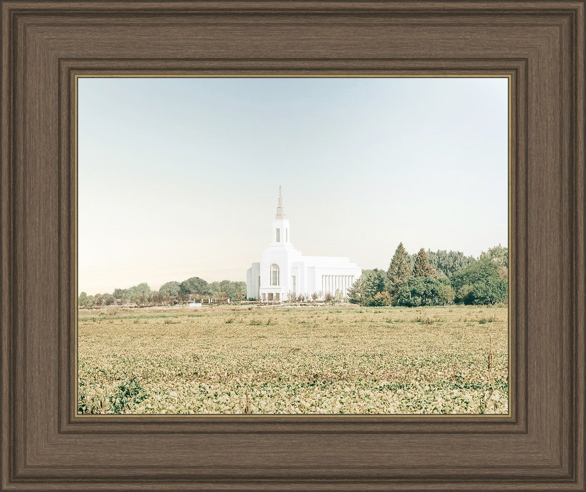 Burley Idaho Immaculate Embrace Blue
