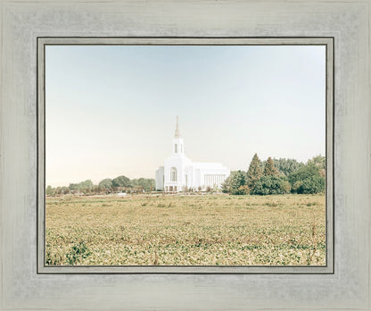 Burley Idaho Immaculate Embrace Blue