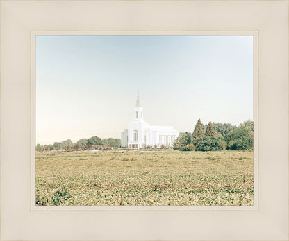 Burley Idaho Immaculate Embrace Blue