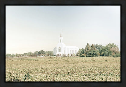 Burley Idaho Immaculate Embrace Blue