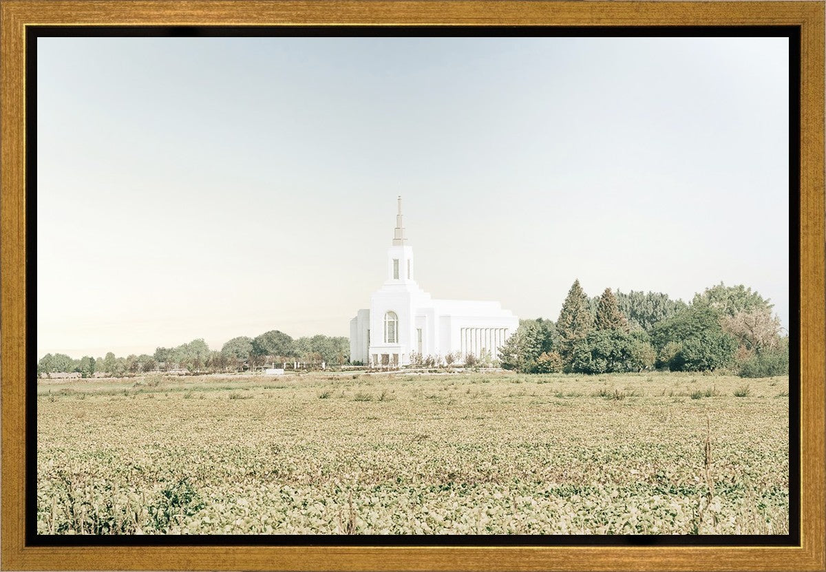 Burley Idaho Immaculate Embrace Blue