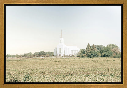 Burley Idaho Immaculate Embrace Blue