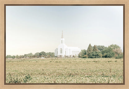 Burley Idaho Immaculate Embrace Blue