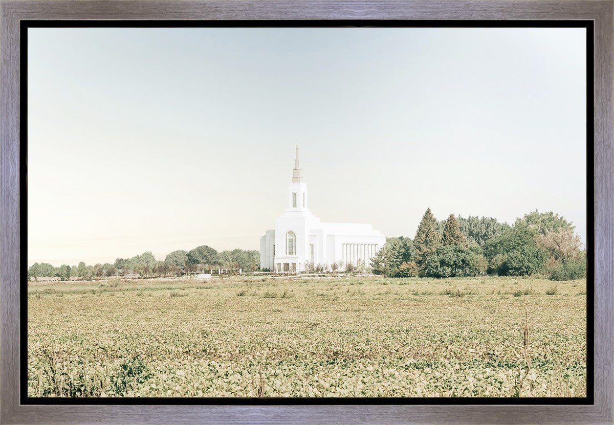 Burley Idaho Immaculate Embrace Blue