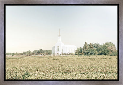 Burley Idaho Immaculate Embrace Blue