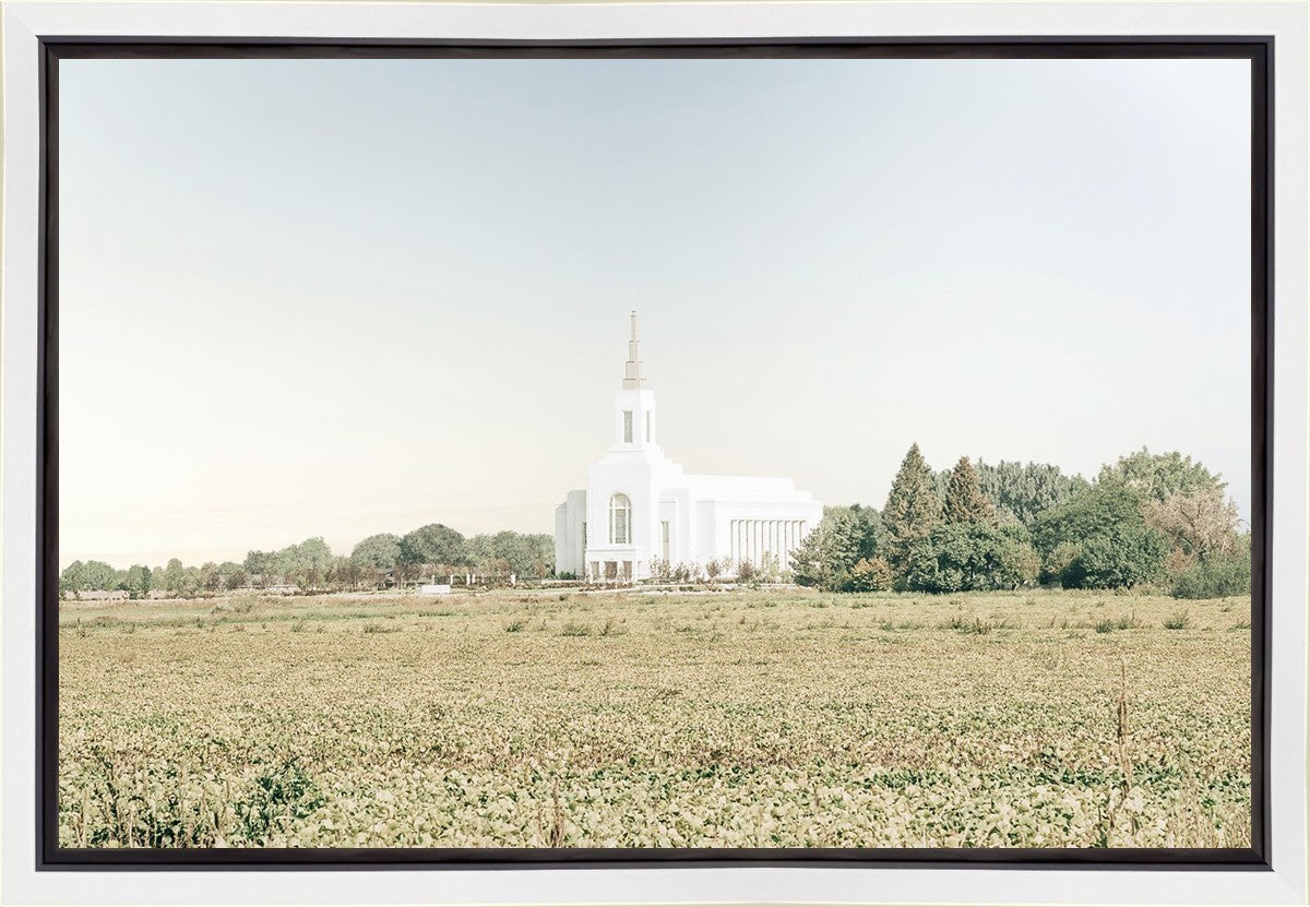 Burley Idaho Immaculate Embrace Blue