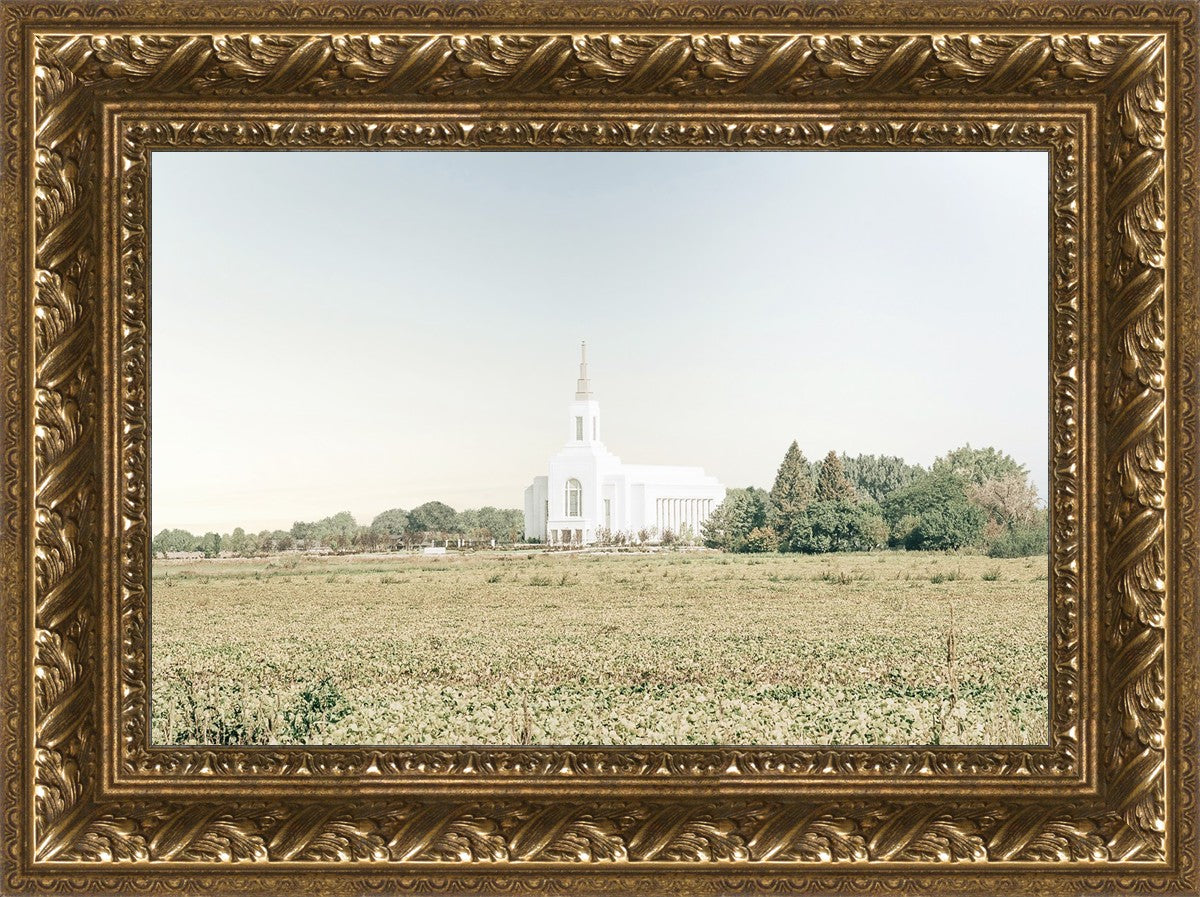 Burley Idaho Immaculate Embrace Blue