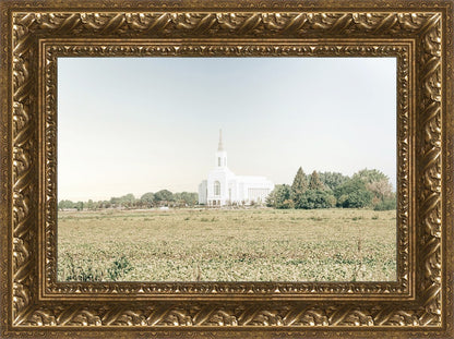 Burley Idaho Immaculate Embrace Blue