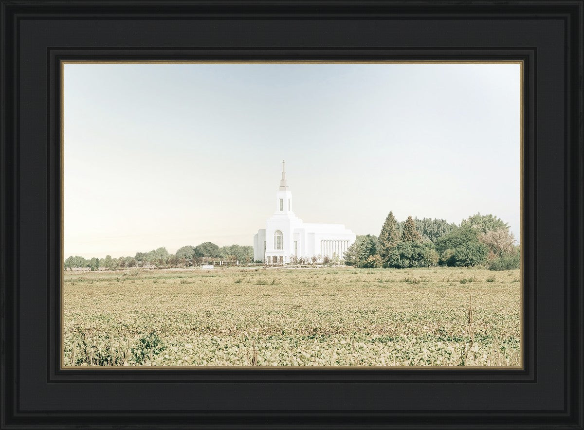 Burley Idaho Immaculate Embrace Blue