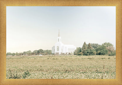 Burley Idaho Immaculate Embrace Blue