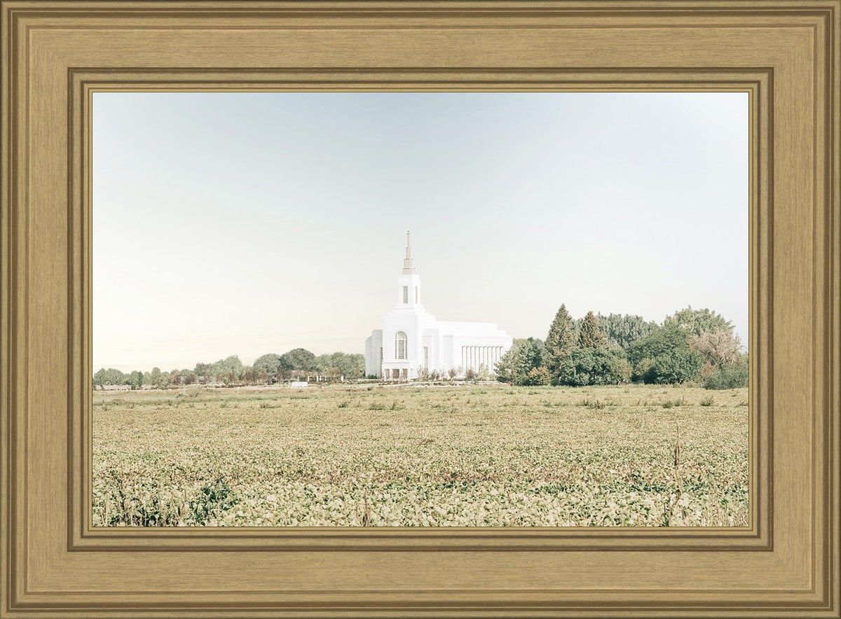 Burley Idaho Immaculate Embrace Blue