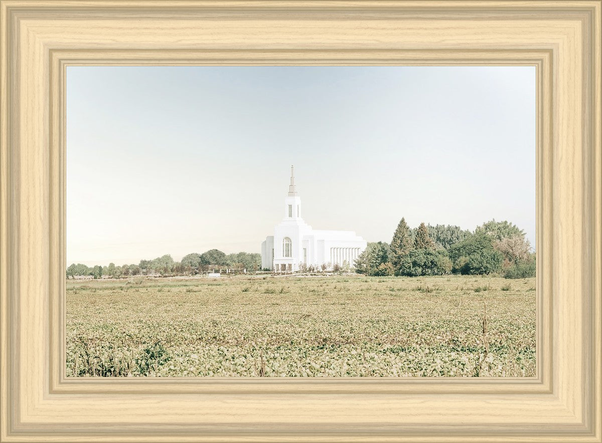 Burley Idaho Immaculate Embrace Blue