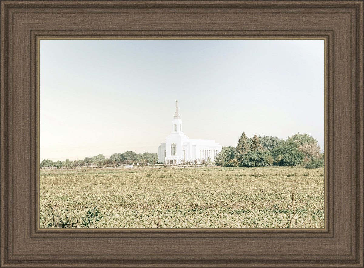 Burley Idaho Immaculate Embrace Blue