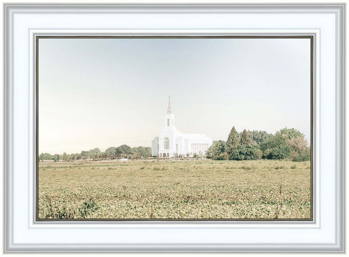 Burley Idaho Immaculate Embrace Blue