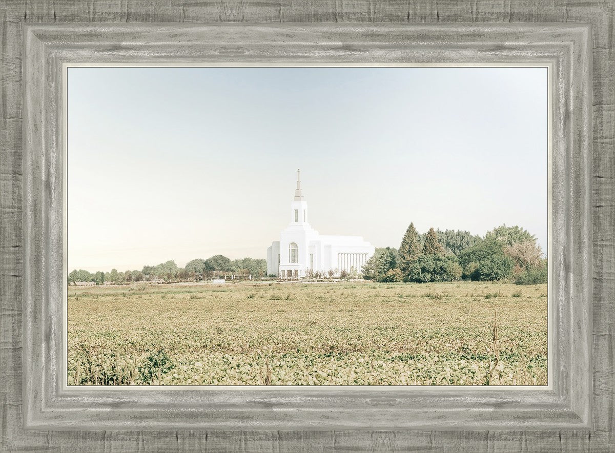 Burley Idaho Immaculate Embrace Blue