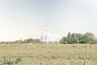 Burley Idaho Immaculate Embrace Blue