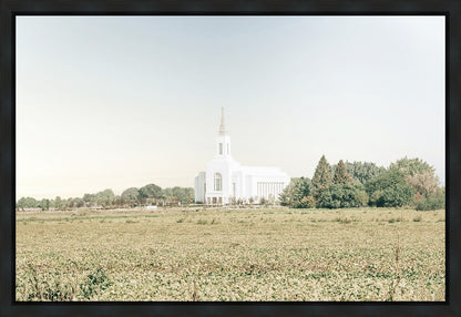 Burley Idaho Immaculate Embrace Blue