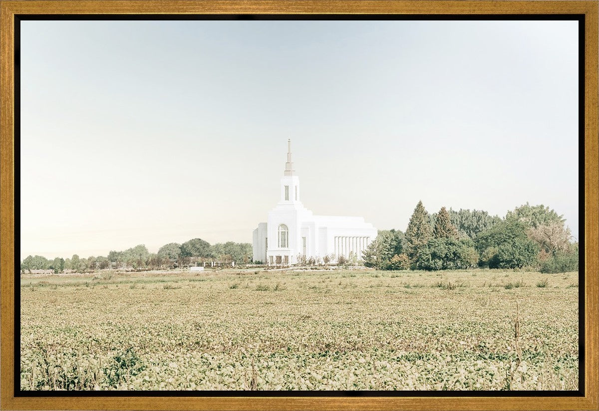 Burley Idaho Immaculate Embrace Blue