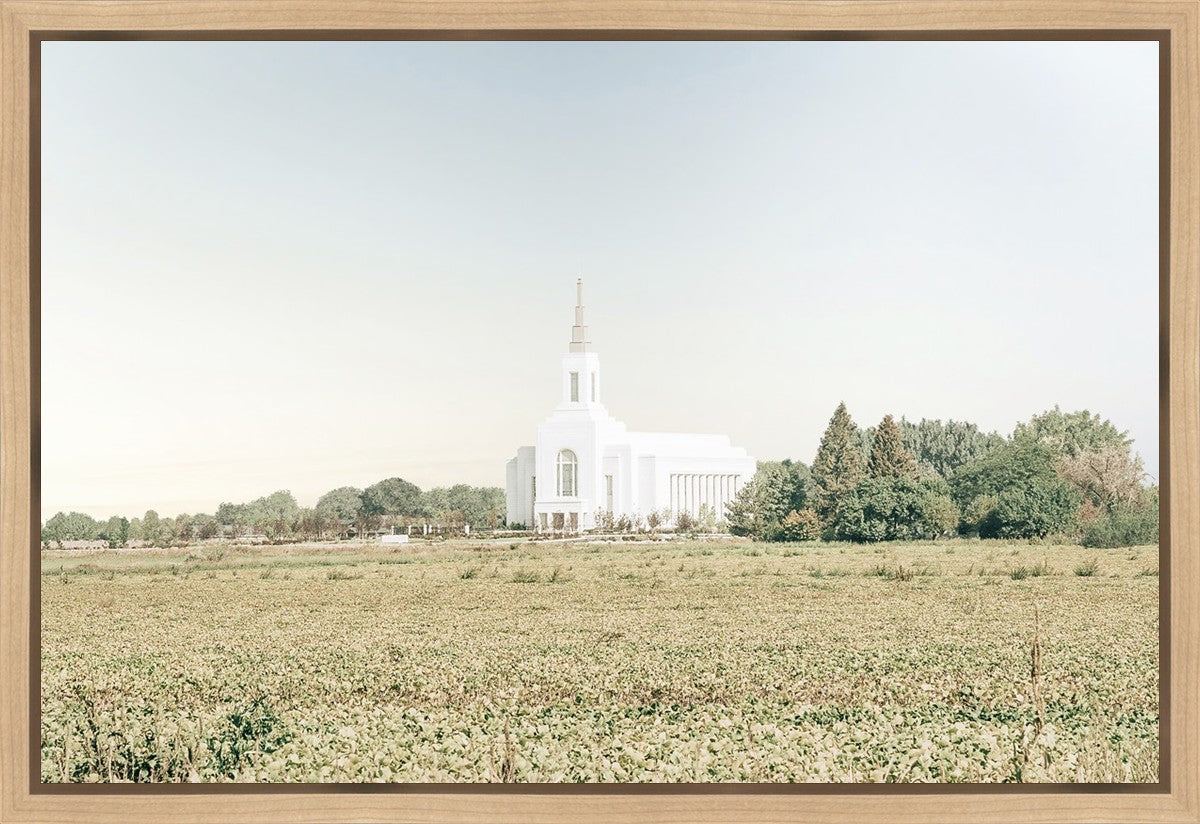 Burley Idaho Immaculate Embrace Blue