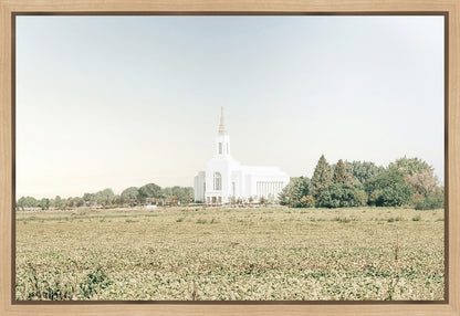 Burley Idaho Immaculate Embrace Blue