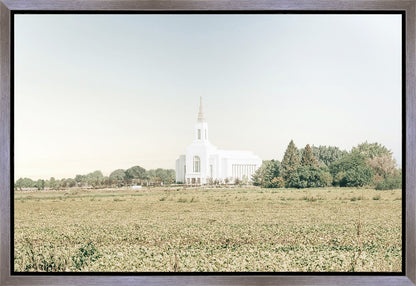 Burley Idaho Immaculate Embrace Blue