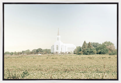 Burley Idaho Immaculate Embrace Blue