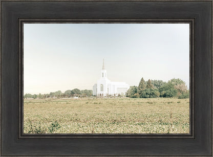 Burley Idaho Immaculate Embrace Blue