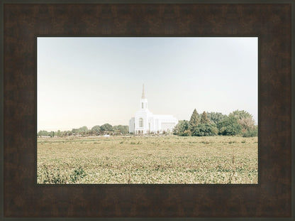 Burley Idaho Immaculate Embrace Blue