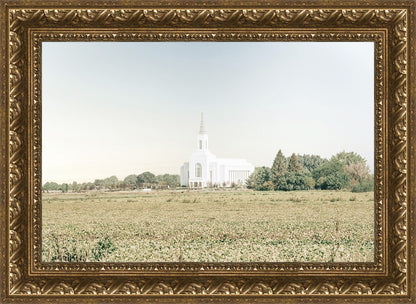 Burley Idaho Immaculate Embrace Blue