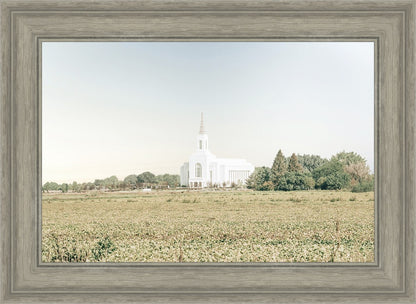 Burley Idaho Immaculate Embrace Blue