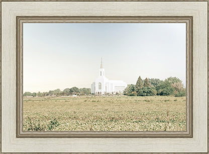 Burley Idaho Immaculate Embrace Blue