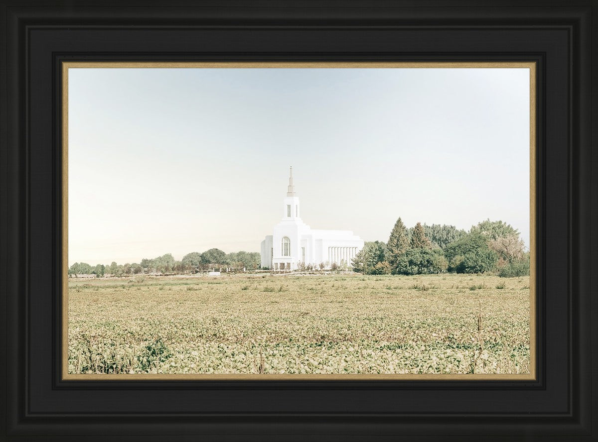 Burley Idaho Immaculate Embrace Blue