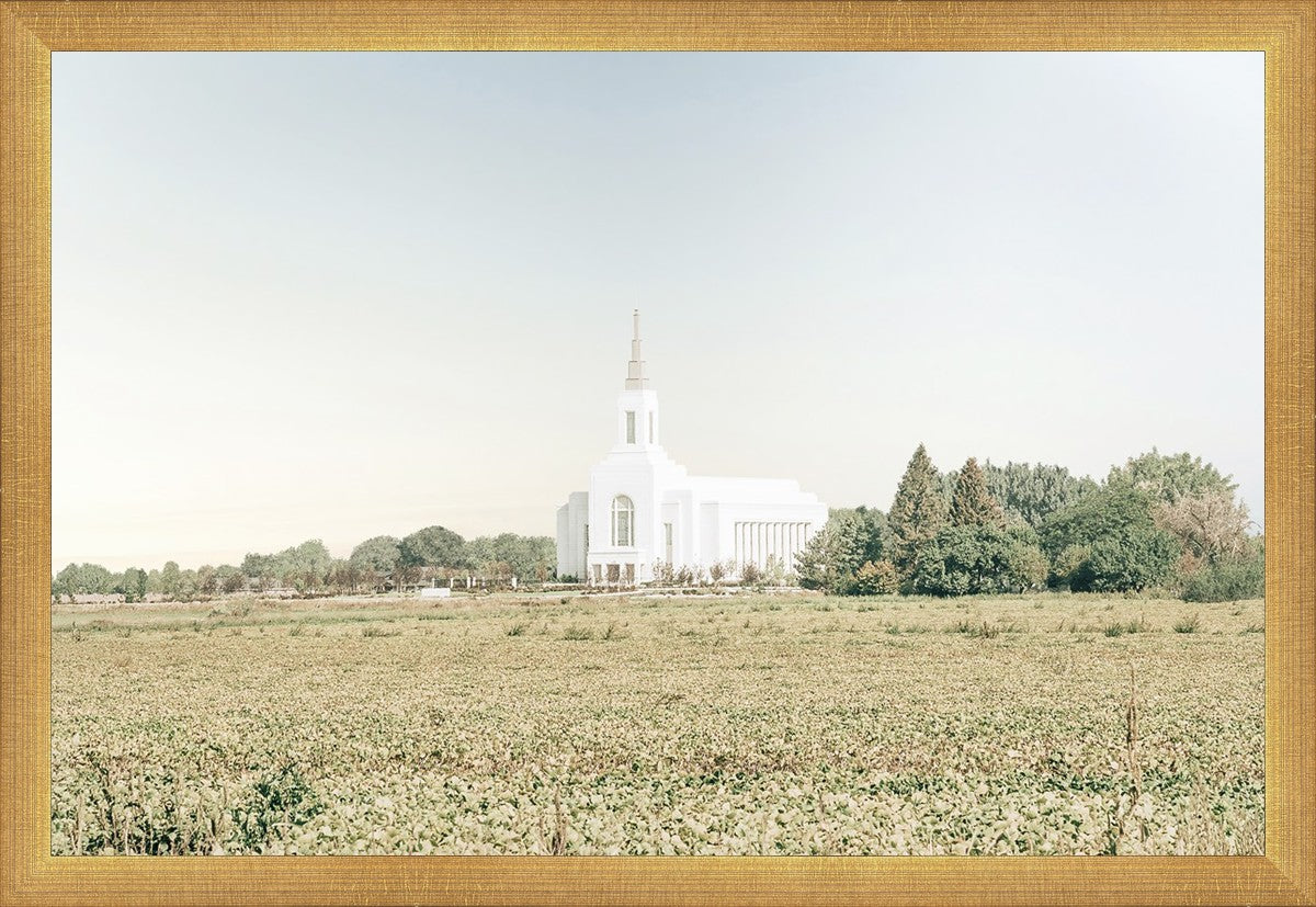 Burley Idaho Immaculate Embrace Blue